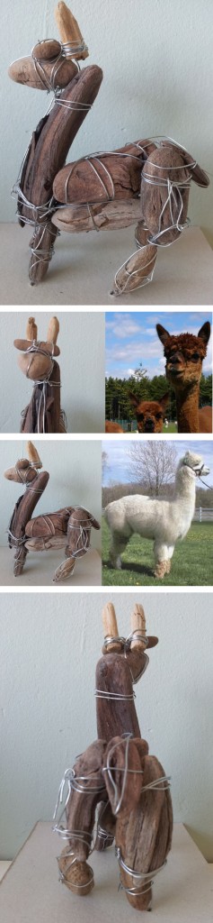 alpaca2